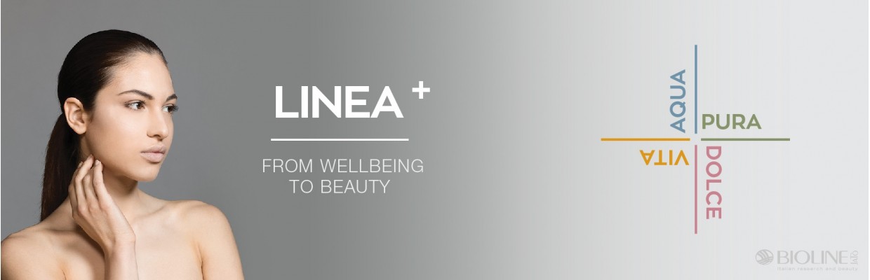 LINEA+